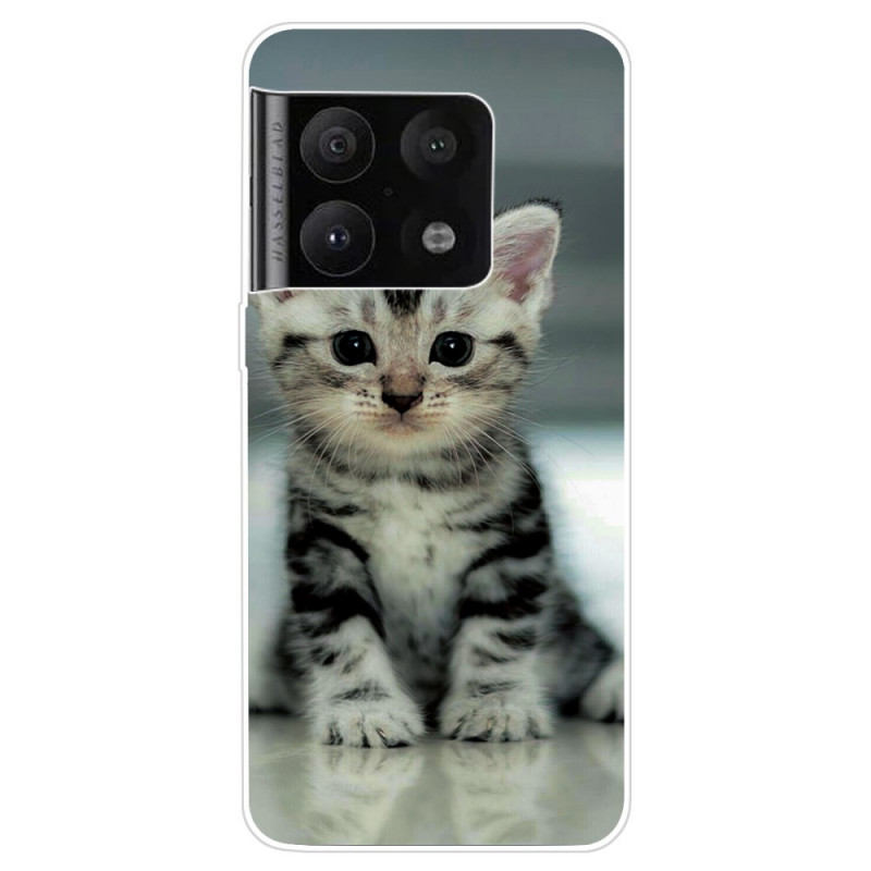Cover OnePlus 10 Pro 5G Kätzchen Kätzchen