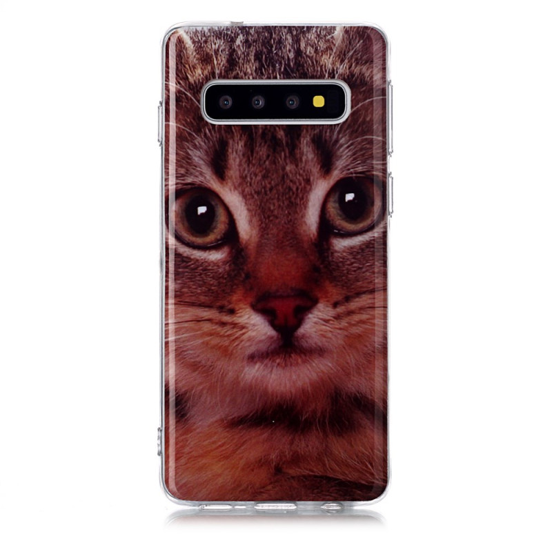 Hülle Samsung Galaxy S10 Katze